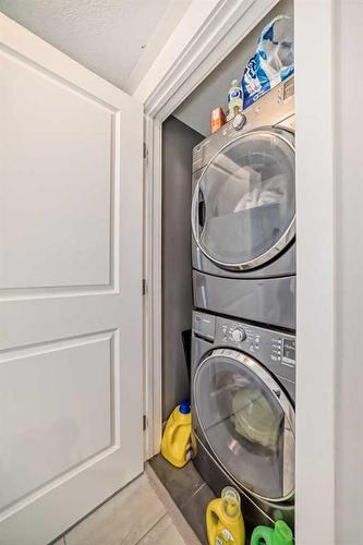 4114-240 Skyview Ranch Road Ne, Calgary, AB - Indoor Photo Showing Laundry Room