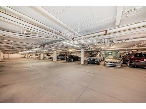 4114-240 Skyview Ranch Road Ne, Calgary, AB - Indoor Photo Showing Garage