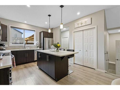 99 Masters Manor Se, Calgary, AB - Indoor Photo Showing Kitchen With Upgraded Kitchen