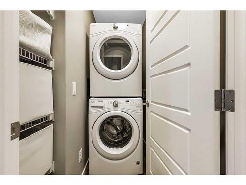 99 Masters Manor Se, Calgary, AB - Indoor Photo Showing Laundry Room