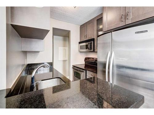 103-733 14 Avenue Sw, Calgary, AB - Indoor Photo Showing Kitchen With Stainless Steel Kitchen