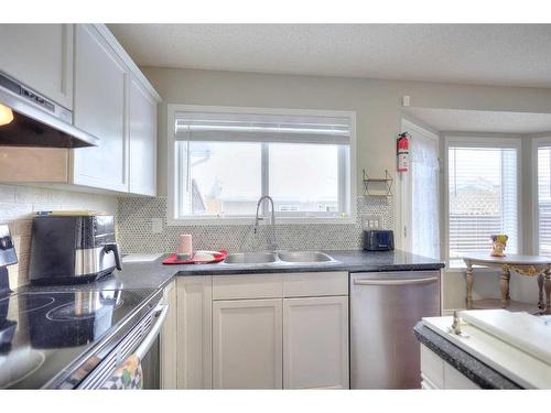 106 Cramond Place Se, Calgary, AB - Indoor Photo Showing Kitchen With Double Sink