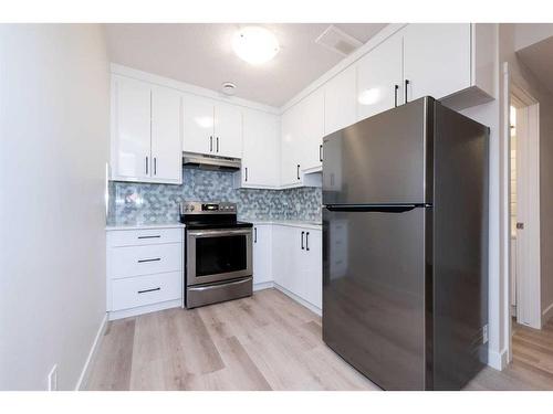 221 Homestead Terrace Ne, Calgary, AB - Indoor Photo Showing Kitchen