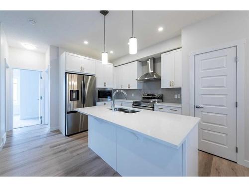 221 Homestead Terrace Ne, Calgary, AB - Indoor Photo Showing Kitchen With Double Sink With Upgraded Kitchen