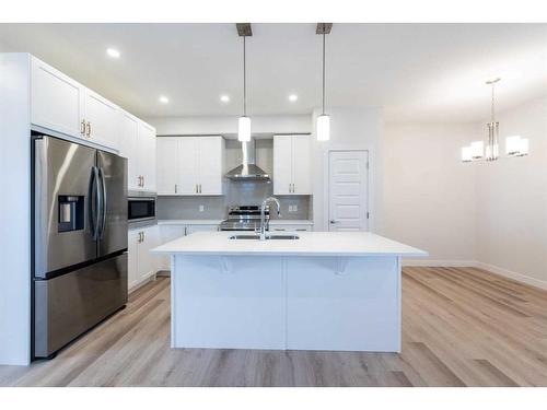 221 Homestead Terrace Ne, Calgary, AB - Indoor Photo Showing Kitchen With Upgraded Kitchen