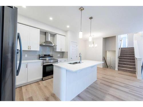 221 Homestead Terrace Ne, Calgary, AB - Indoor Photo Showing Kitchen With Double Sink With Upgraded Kitchen