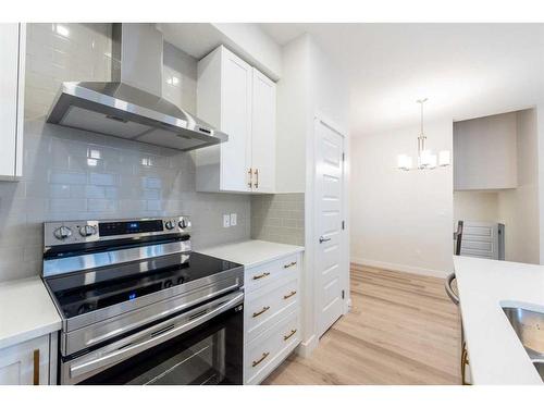 221 Homestead Terrace Ne, Calgary, AB - Indoor Photo Showing Kitchen With Upgraded Kitchen