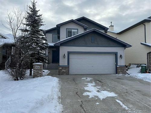 166 Cimarron Park Circle, Okotoks, AB - Outdoor