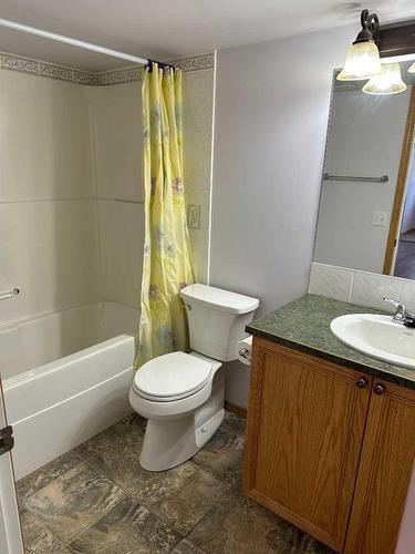 166 Cimarron Park Circle, Okotoks, AB - Indoor Photo Showing Bathroom