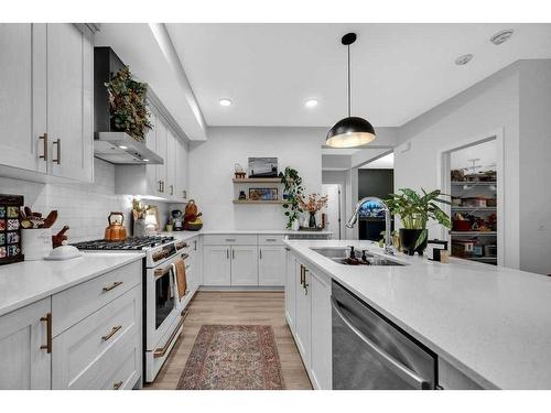 316 Savanna Way Ne, Calgary, AB - Indoor Photo Showing Kitchen With Double Sink With Upgraded Kitchen