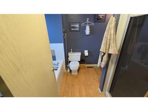 203 Arbour Summit Close Nw, Calgary, AB - Indoor Photo Showing Bathroom