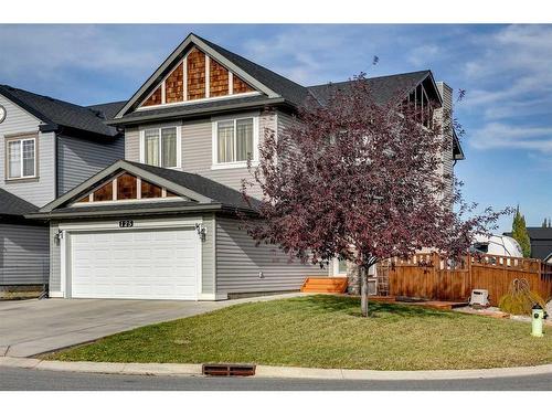 125 Copperstone Close Se, Calgary, AB - Outdoor