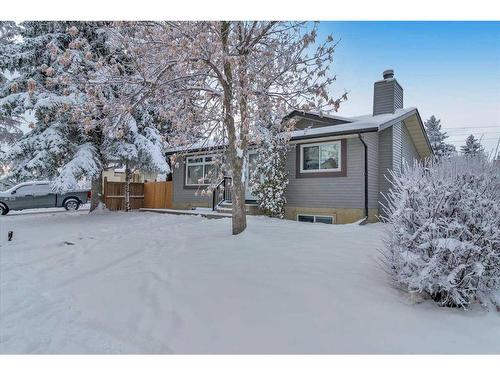 207 Fallswater Road Ne, Calgary, AB - Outdoor