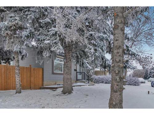 207 Fallswater Road Ne, Calgary, AB - Outdoor