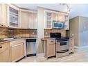 102-1530 16 Avenue Sw, Calgary, AB  - Indoor Photo Showing Kitchen With Double Sink 