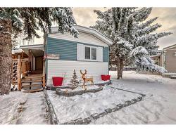 344 Burroughs Circle NE Calgary, AB T1Y 6K3