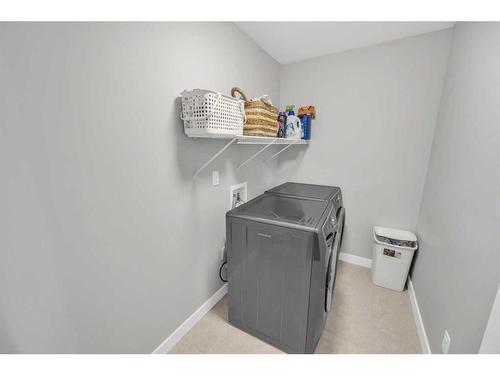 17 Cornerstone Parade Ne, Calgary, AB - Indoor Photo Showing Laundry Room