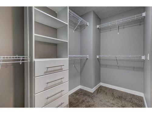 178 Chaparral Valley Way Se, Calgary, AB - Indoor With Storage