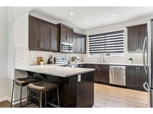 257 Masters Crescent Se, Calgary, AB - Indoor Photo Showing Kitchen With Stainless Steel Kitchen With Upgraded Kitchen