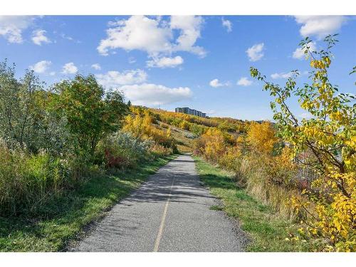 364 Prominence Heights Sw, Calgary, AB - Outdoor With View