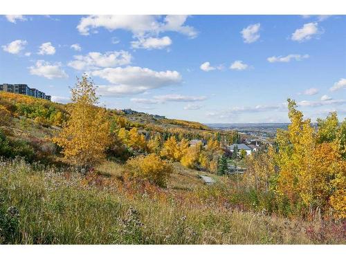 364 Prominence Heights Sw, Calgary, AB - Outdoor With View