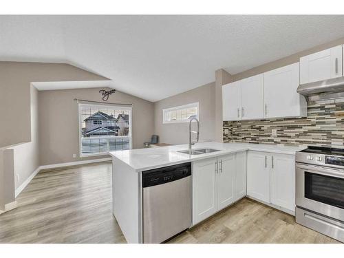 14 Saddlemont Manor Ne, Calgary, AB - Indoor Photo Showing Kitchen With Double Sink With Upgraded Kitchen