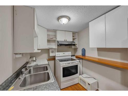 14 Saddlemont Manor Ne, Calgary, AB - Indoor Photo Showing Kitchen With Double Sink