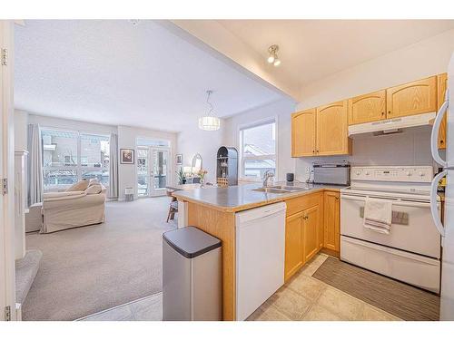 12 Royal Manor Nw, Calgary, AB - Indoor Photo Showing Kitchen With Double Sink