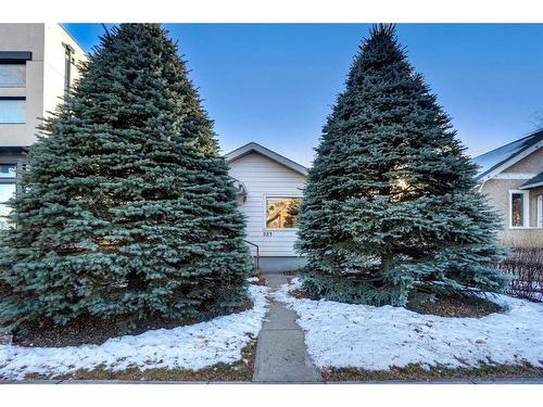 223 12 Avenue Ne, Calgary, AB - Outdoor