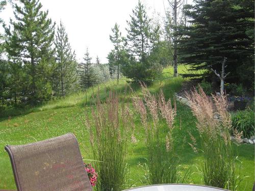 12 Majestic Gate, Rural Rocky View County, AB - Outdoor