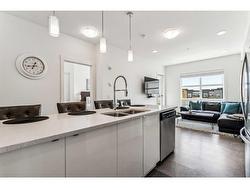 401-19621 40 Street SE Calgary, AB T3M 3B2