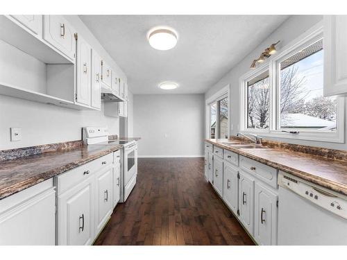 895 Pinecliff Drive Ne, Calgary, AB - Indoor Photo Showing Kitchen With Double Sink