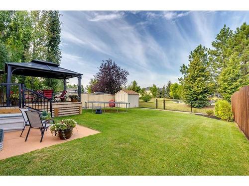 113 Cranleigh Bay Se, Calgary, AB - Outdoor With Deck Patio Veranda With Backyard