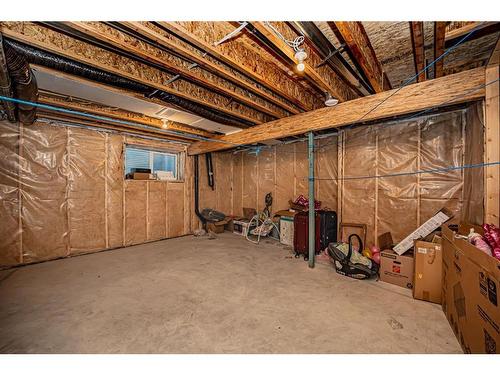 166 Cityside Grove Ne, Calgary, AB - Indoor Photo Showing Basement