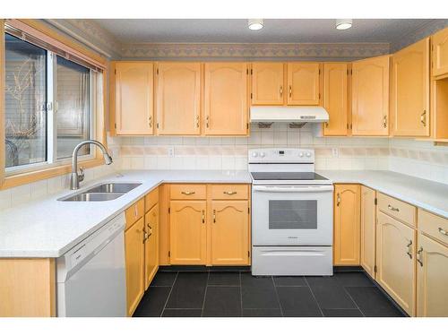 13 Citadel Gardens Nw, Calgary, AB - Indoor Photo Showing Kitchen With Double Sink