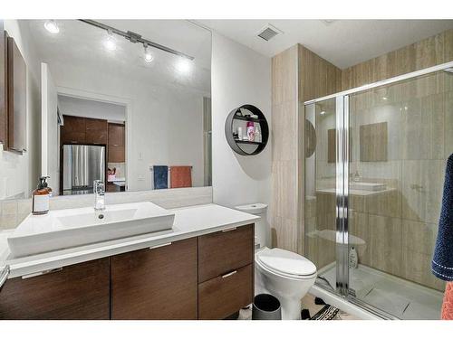 301-1719 9A Street Sw, Calgary, AB - Indoor Photo Showing Bathroom