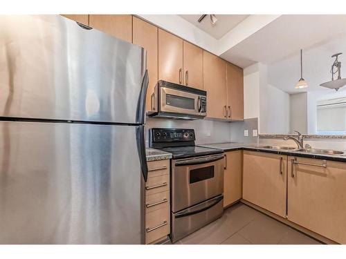 105-880 Centre Avenue Ne, Calgary, AB - Indoor Photo Showing Kitchen With Double Sink