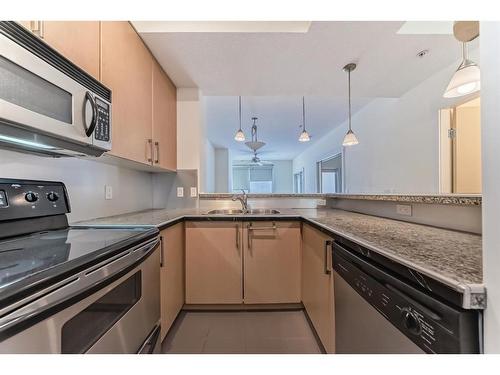 105-880 Centre Avenue Ne, Calgary, AB - Indoor Photo Showing Kitchen With Double Sink