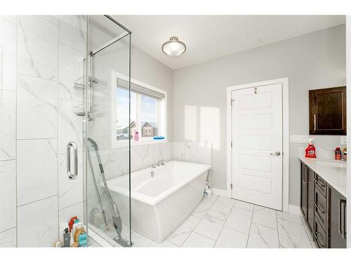 9 Savanna Green Ne, Calgary, AB - Indoor Photo Showing Bathroom