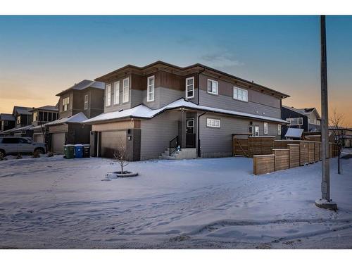 9 Savanna Green Ne, Calgary, AB - Outdoor