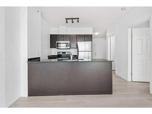 1103-325 3 Street Se, Calgary, AB - Indoor Photo Showing Kitchen