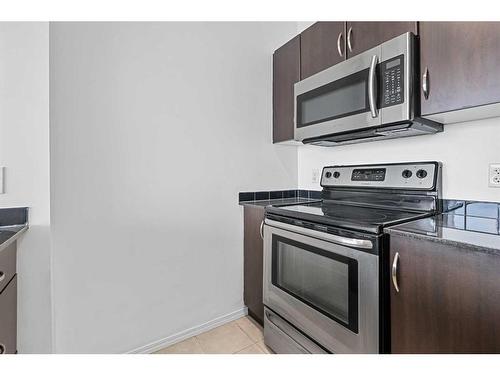 1103-325 3 Street Se, Calgary, AB - Indoor Photo Showing Kitchen