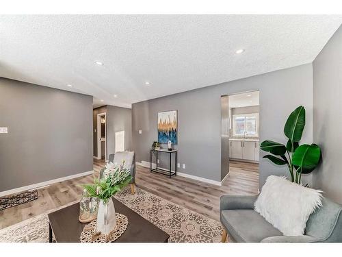 156 Van Horne Crescent Ne, Calgary, AB - Indoor Photo Showing Living Room