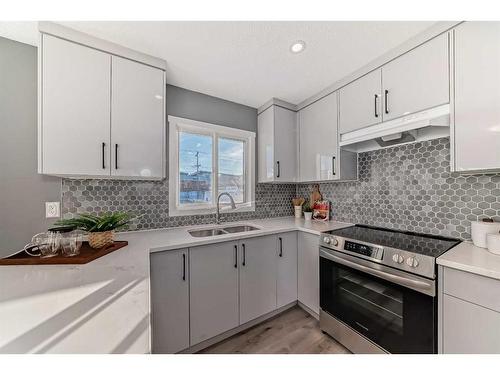 156 Van Horne Crescent Ne, Calgary, AB - Indoor Photo Showing Kitchen With Double Sink With Upgraded Kitchen