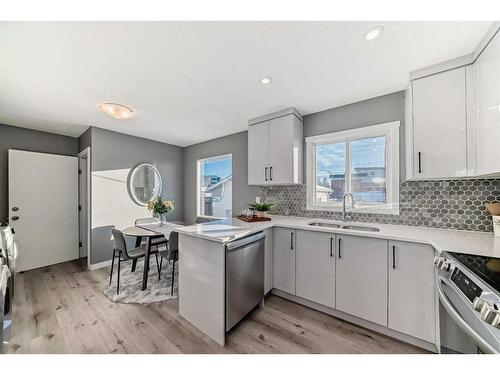 156 Van Horne Crescent Ne, Calgary, AB - Indoor Photo Showing Kitchen With Double Sink