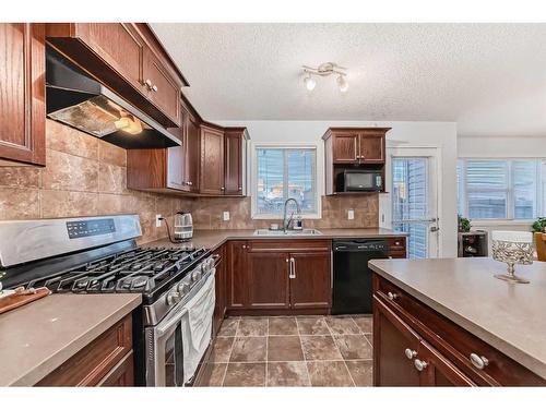 4 Saddlebrook Circle Ne, Calgary, AB - Indoor Photo Showing Kitchen