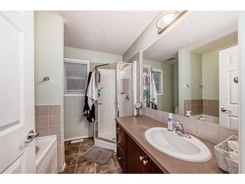 4 Saddlebrook Circle Ne, Calgary, AB - Indoor Photo Showing Bathroom