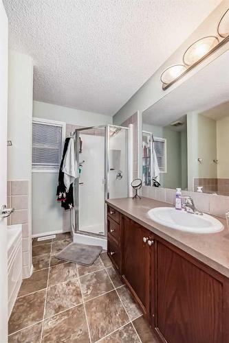 4 Saddlebrook Circle Ne, Calgary, AB - Indoor Photo Showing Bathroom