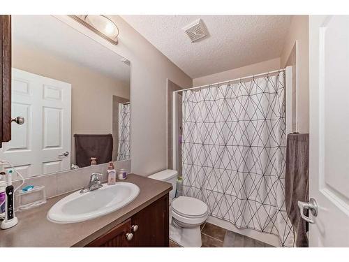 4 Saddlebrook Circle Ne, Calgary, AB - Indoor Photo Showing Bathroom