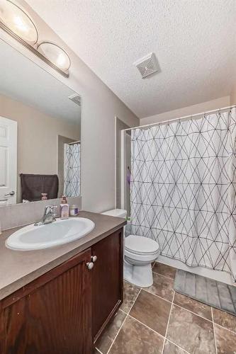 4 Saddlebrook Circle Ne, Calgary, AB - Indoor Photo Showing Bathroom